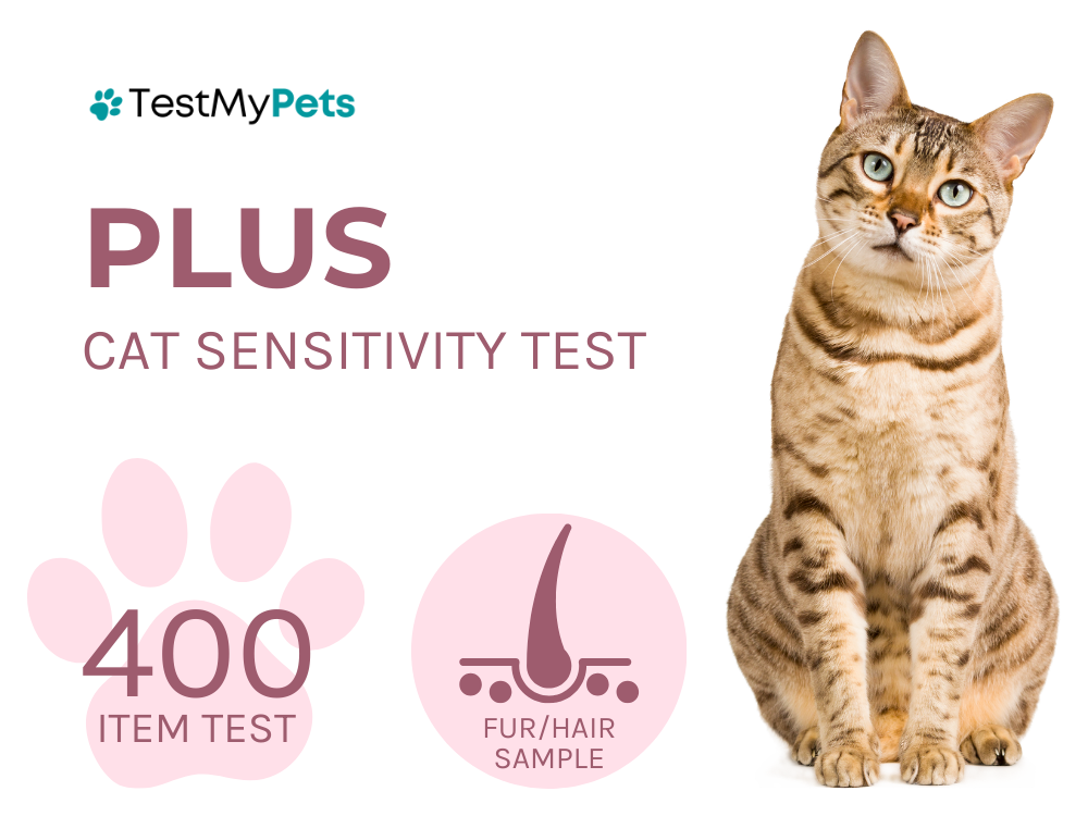 Cat Plus Test