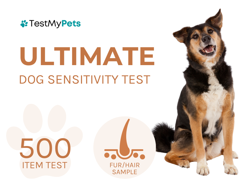 Dog Ultimate Test