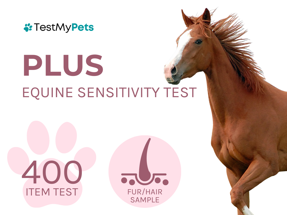 Equine Plus Test
